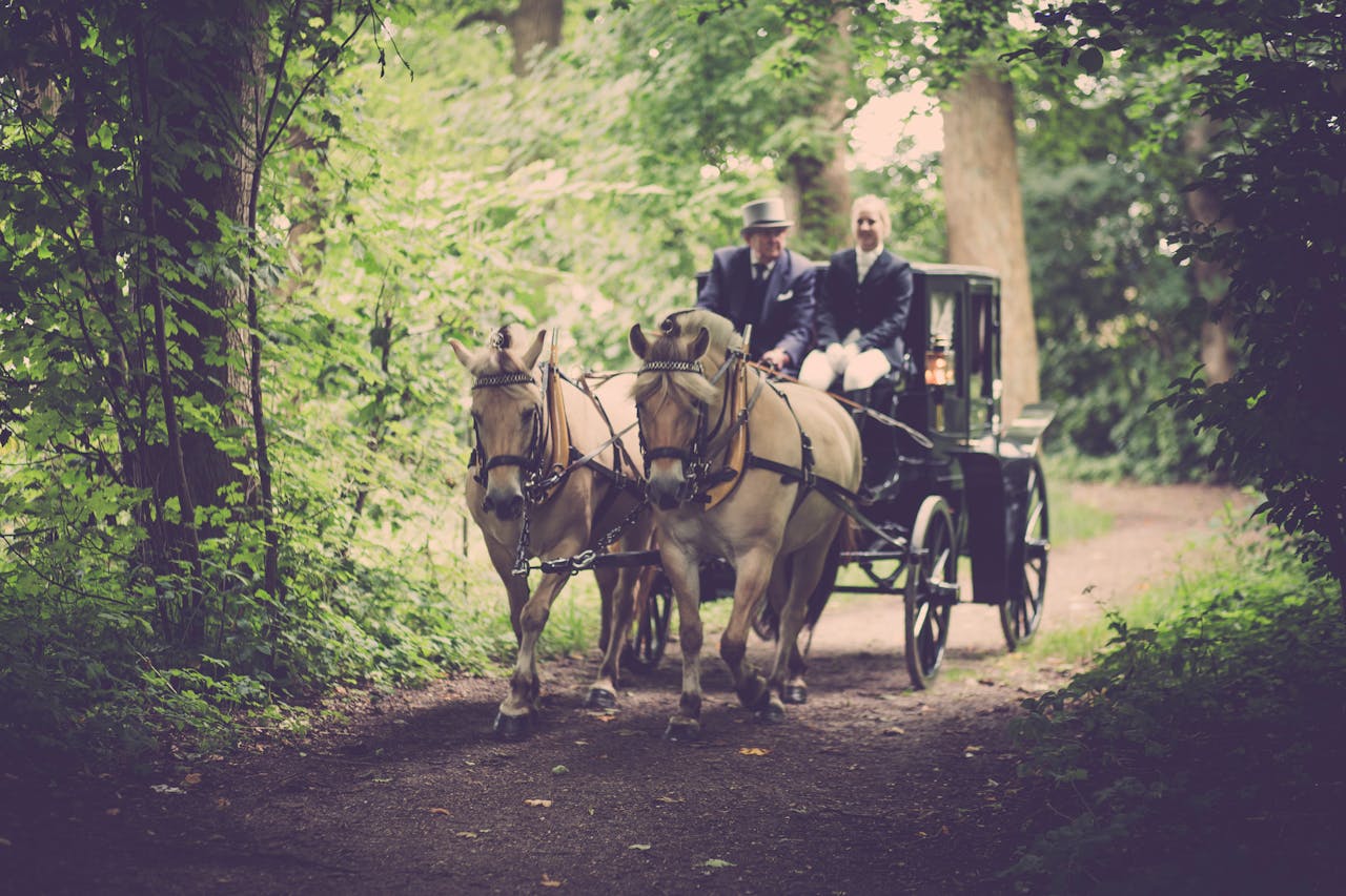 pexels-photo-636012 Elegant horse-drawn carriage traveling through a lush green forest, two men seated on it.